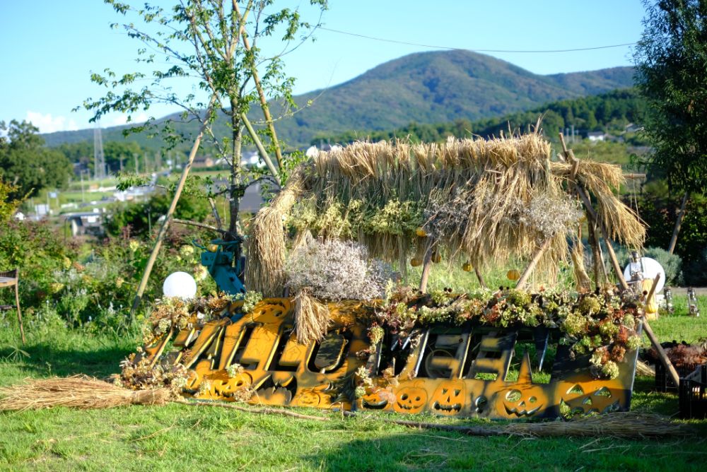 収穫の秋！みんなで作ったハロウィン＆おだがけディスプレイ！