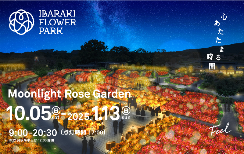 Moonlight Rose Garden2024